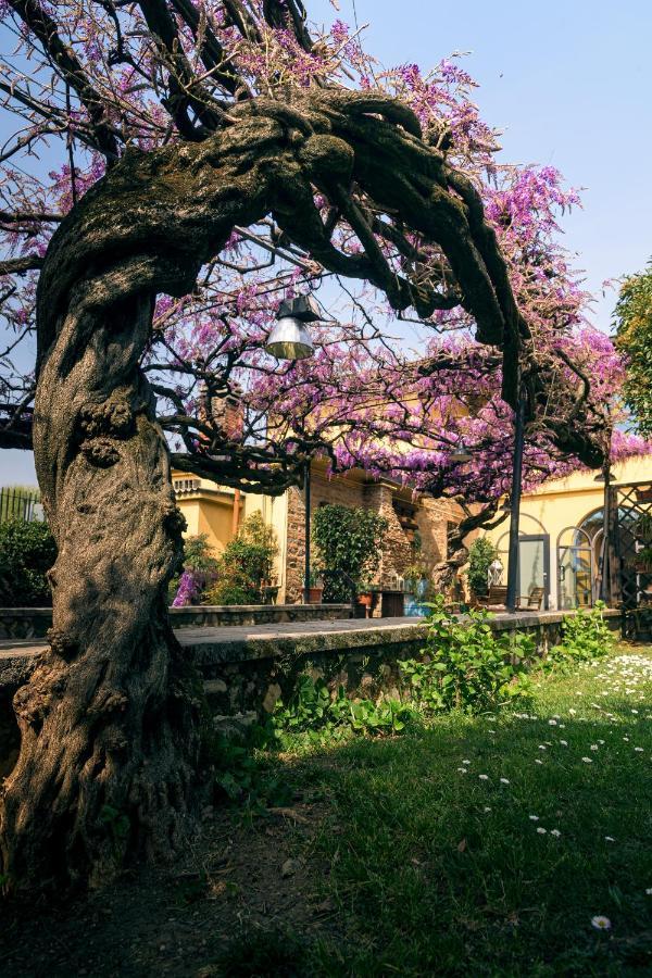 Il Glicine B&B Ristorante Cazzago San Martino Exterior foto